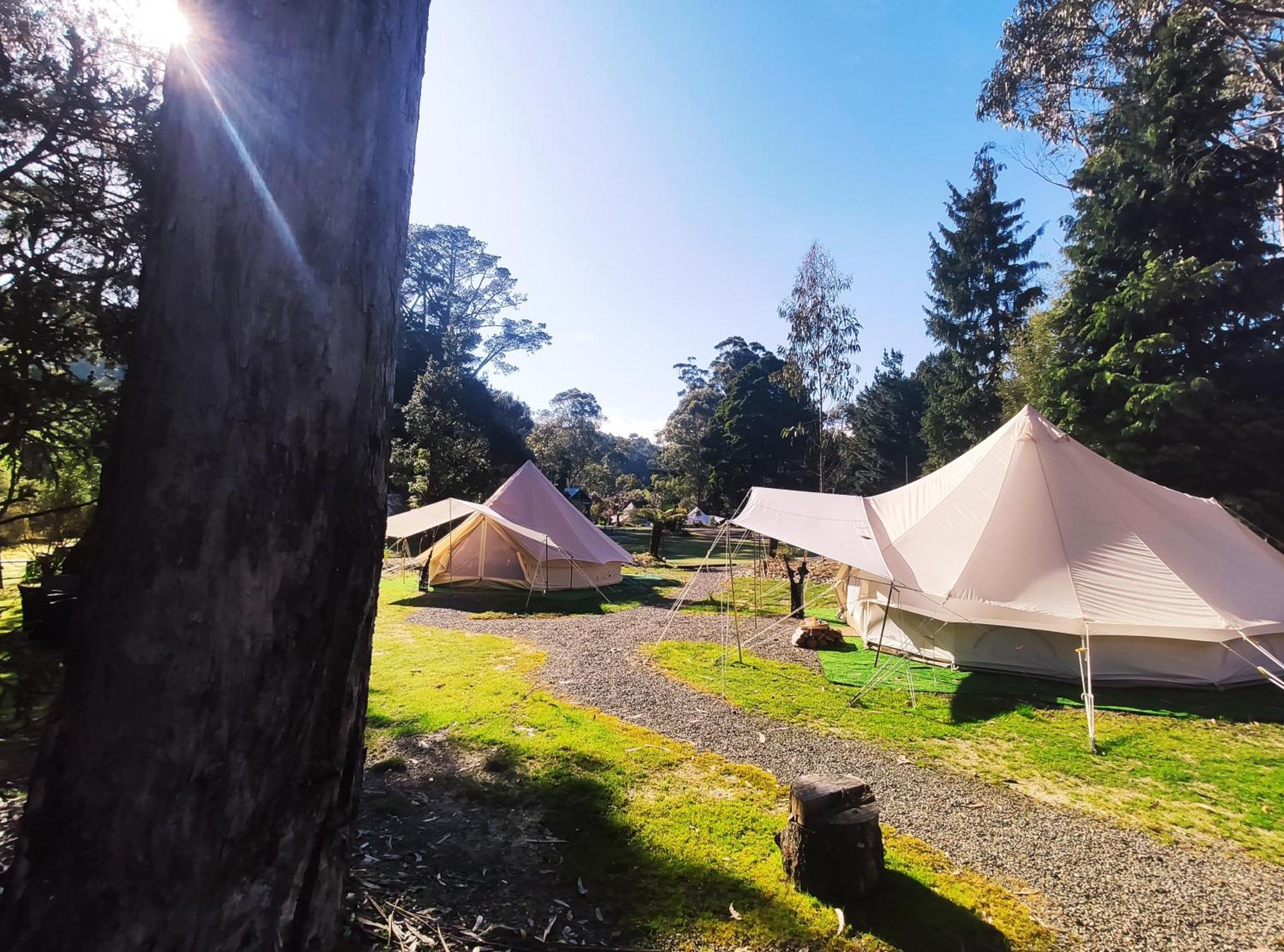 Glamping At Zeehan Bush Camp Exterior foto