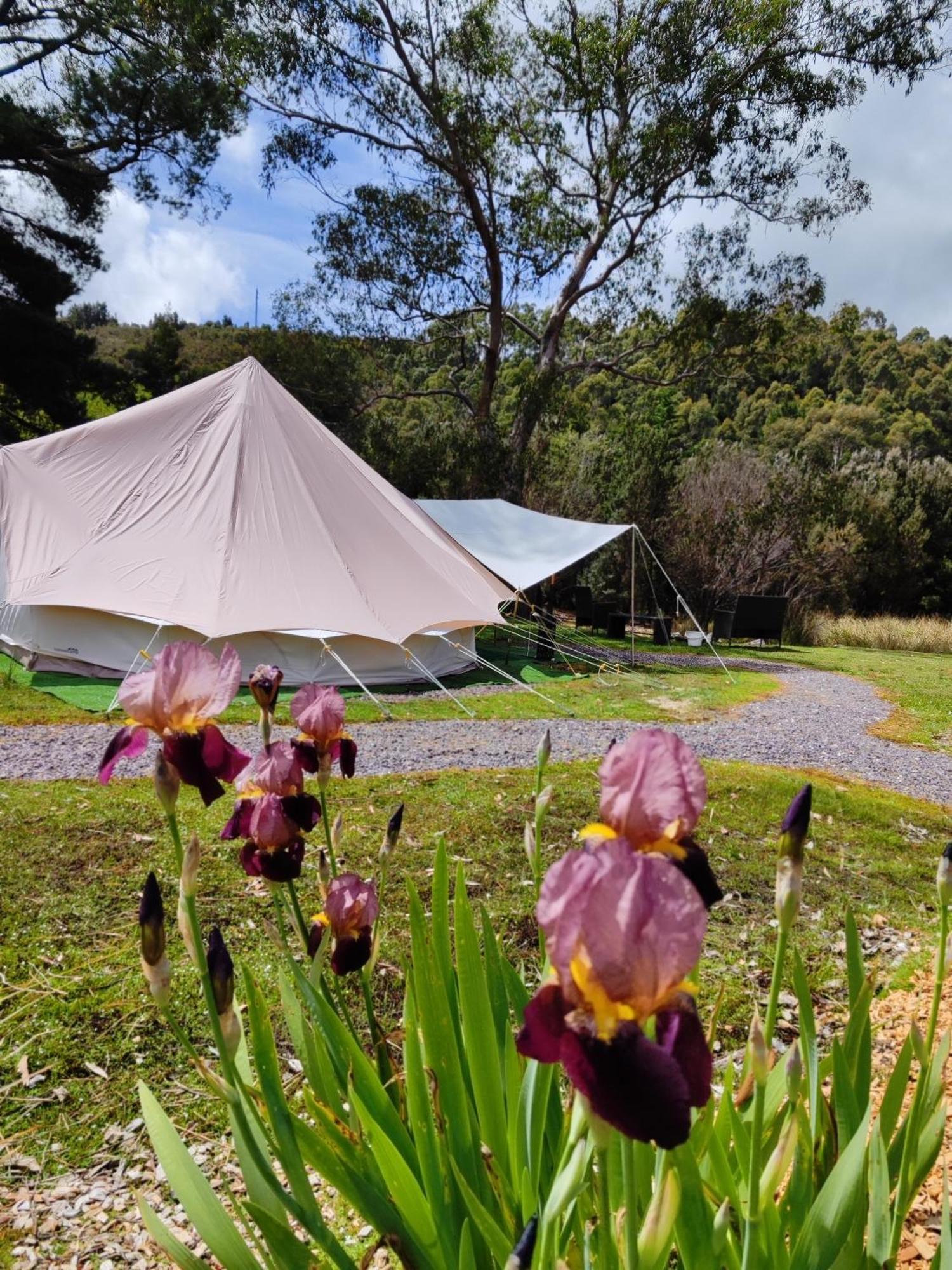 Glamping At Zeehan Bush Camp Exterior foto