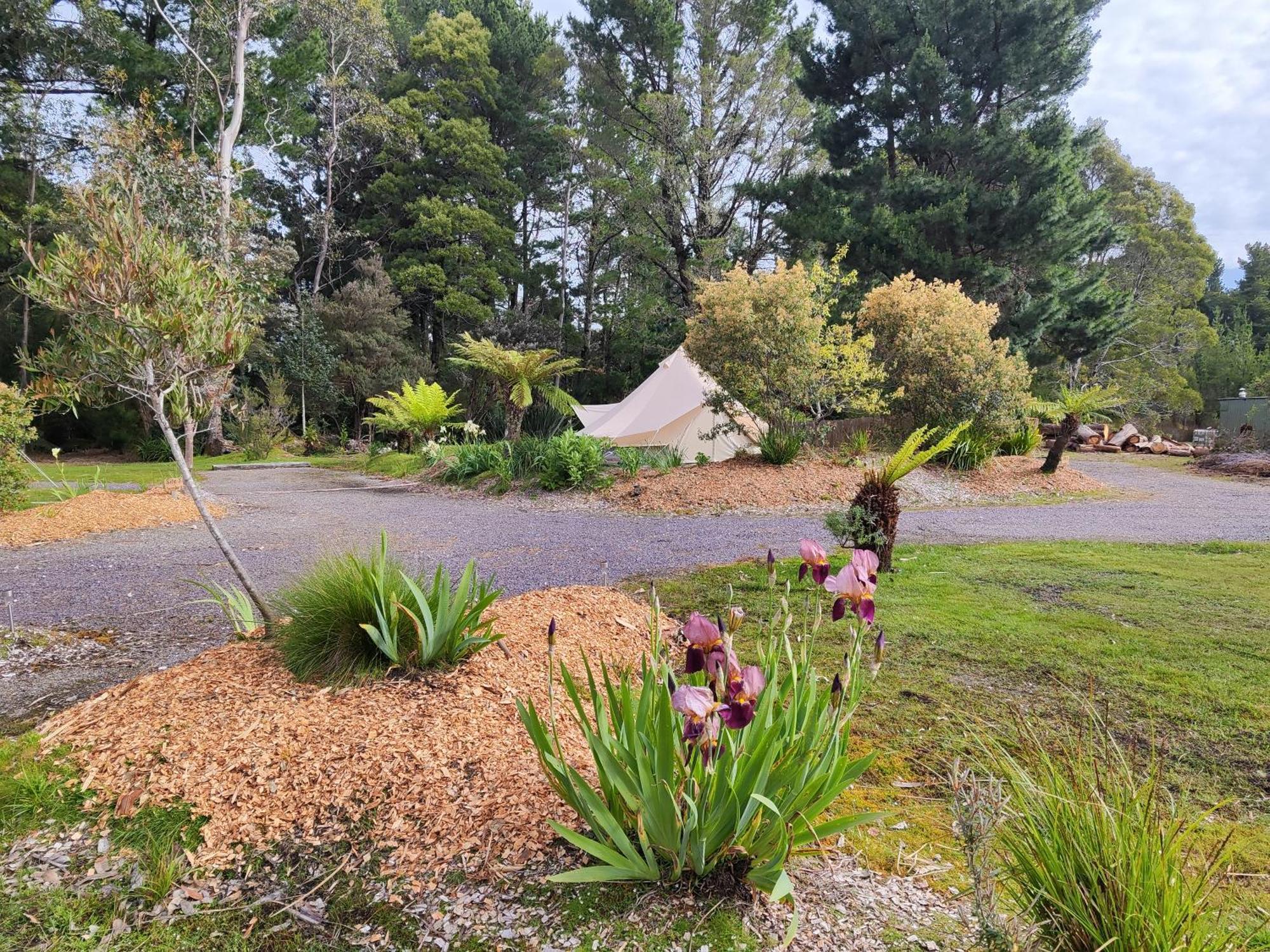 Glamping At Zeehan Bush Camp Exterior foto