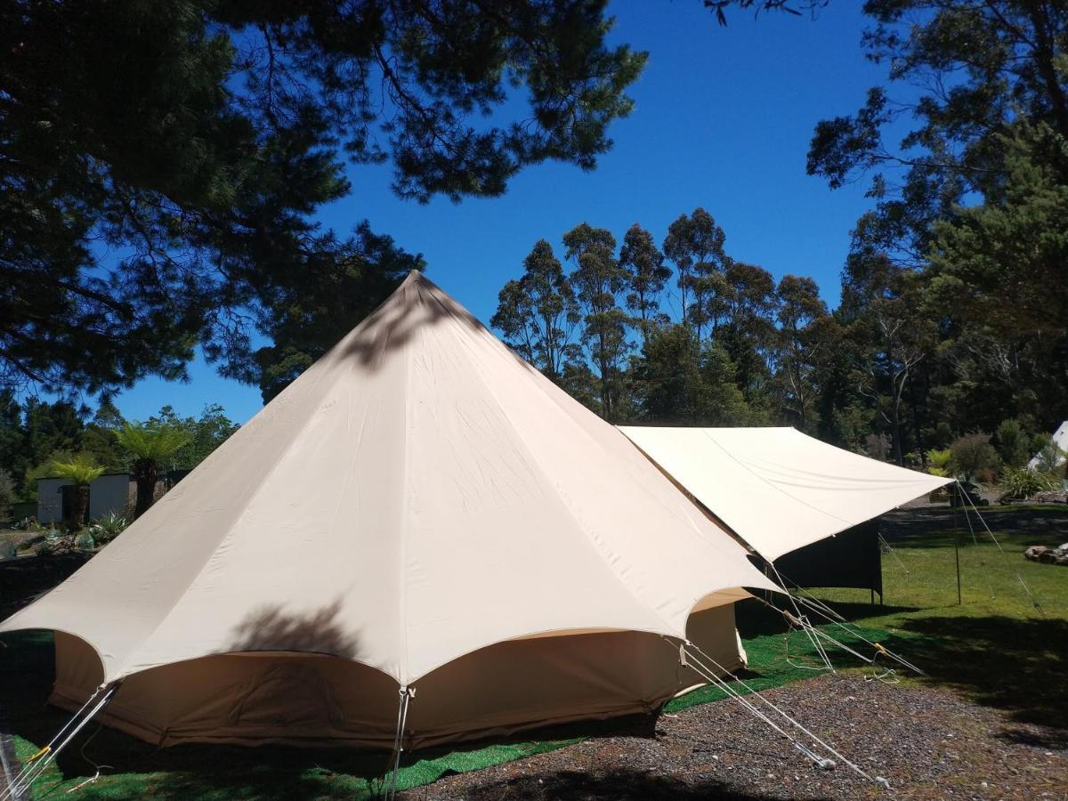 Glamping At Zeehan Bush Camp Exterior foto